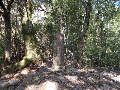f0308898_19240506.jpg