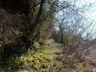 f0308898_19242191.jpg