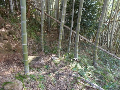 f0308898_19243077.jpg