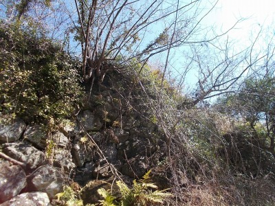 f0308898_19244754.jpg