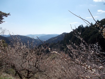 f0308898_19253765.jpg