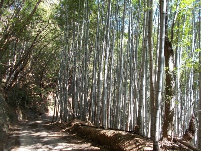 f0308898_19254632.jpg