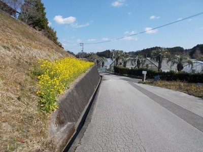 f0308898_19271290.jpg