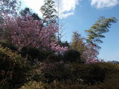 f0308898_19334860.jpg
