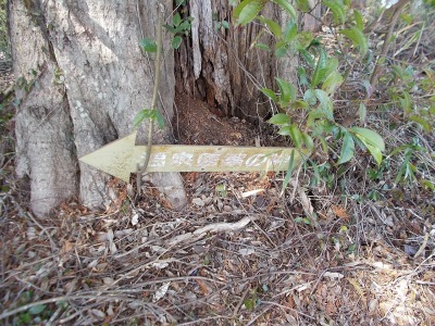 f0308898_19343959.jpg