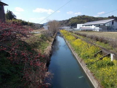 f0308898_19351783.jpg