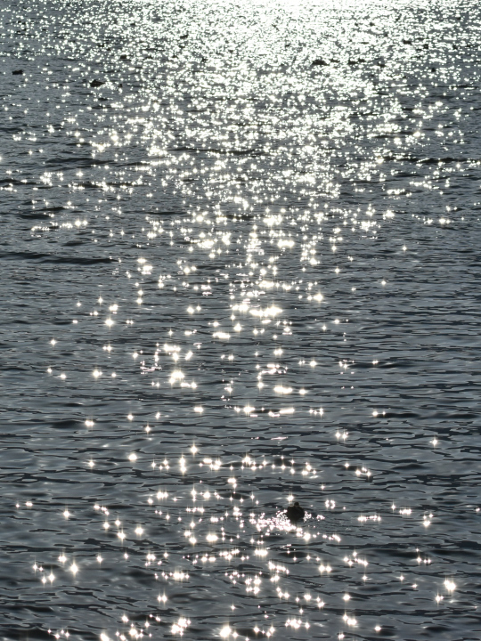 d0363399_18123860.jpg