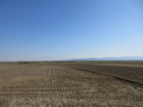 a0203003_20315147.jpg
