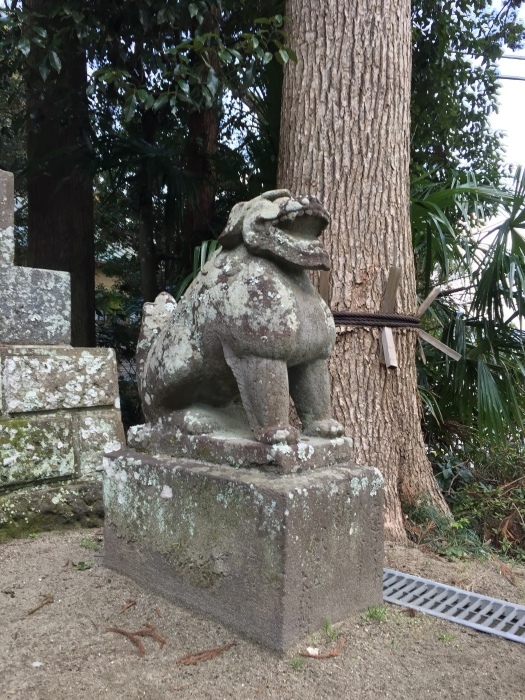 神社巡り『御朱印』⛩高滝神社_a0251116_22254704.jpg