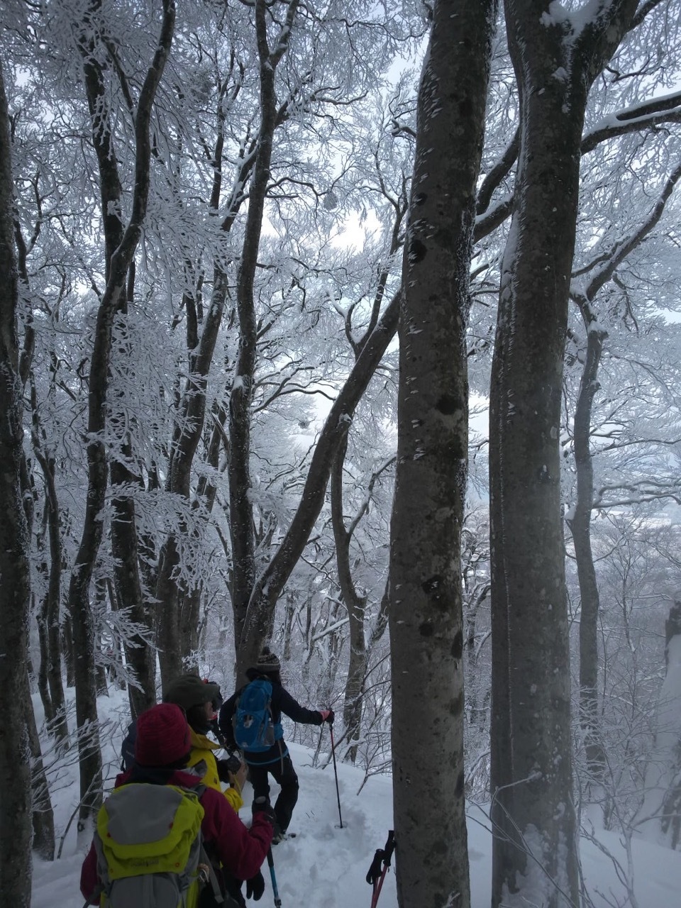 2月 某日　大山スノーシューハイク_b0041520_14120867.jpg