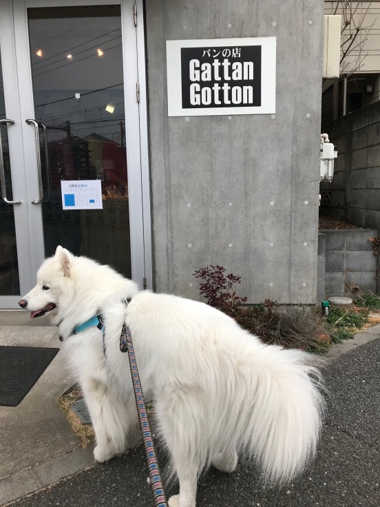 f0234023_17511437.jpeg