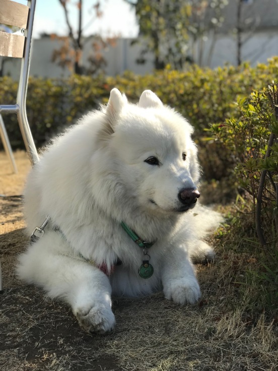 f0234023_17513363.jpeg