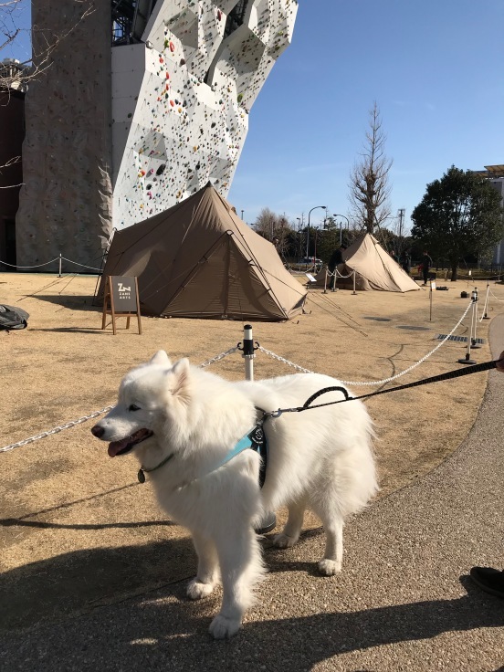 f0234023_17522034.jpeg