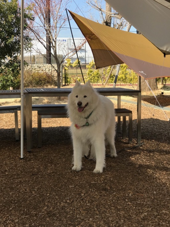 f0234023_17522947.jpeg