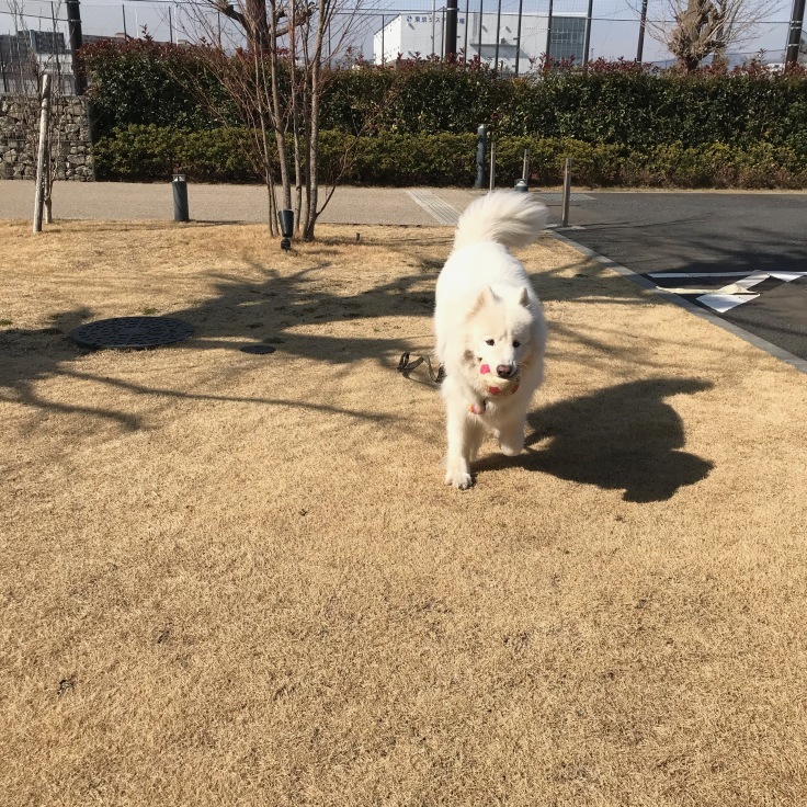 f0234023_17525150.jpeg