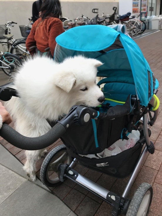 f0234023_18433762.jpeg