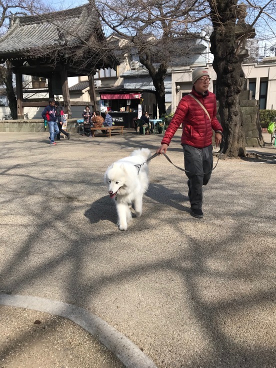 f0234023_18435617.jpeg