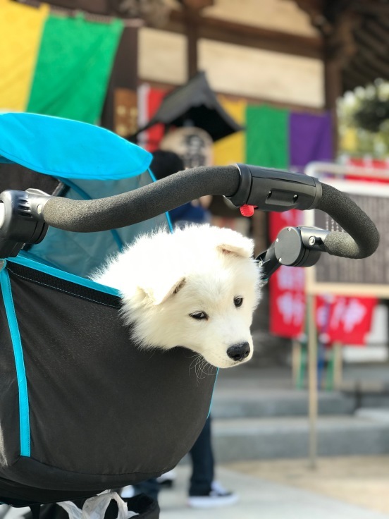 f0234023_18440497.jpeg