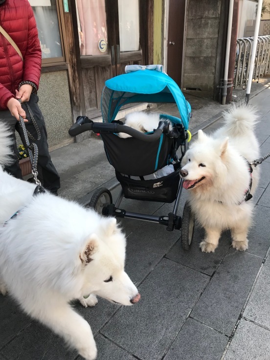 f0234023_18442982.jpeg