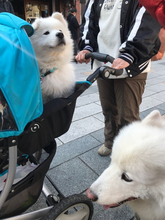 f0234023_18443000.jpeg