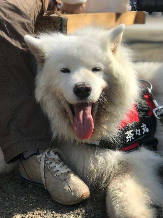 f0234023_18443868.jpeg