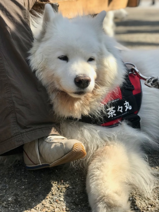 f0234023_18483657.jpeg