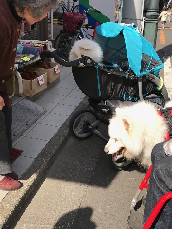 f0234023_21425658.jpeg