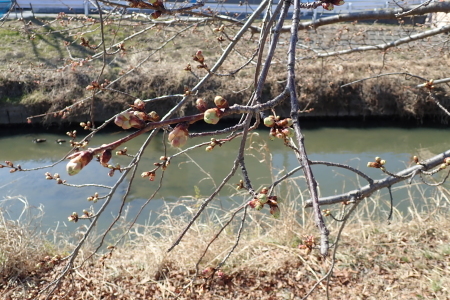 c0353632_15591337.jpg