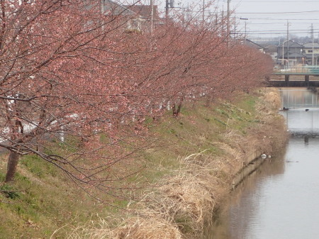 c0353632_16210213.jpg