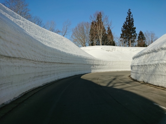 f0118332_23261070.jpg
