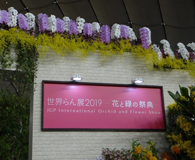 d0037233_09104240.jpg