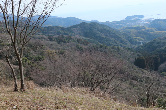 e0272335_1612089.jpg