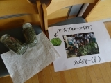 f0167635_22102019.jpg