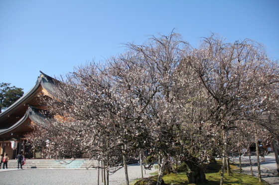 b0132338_14464256.jpeg