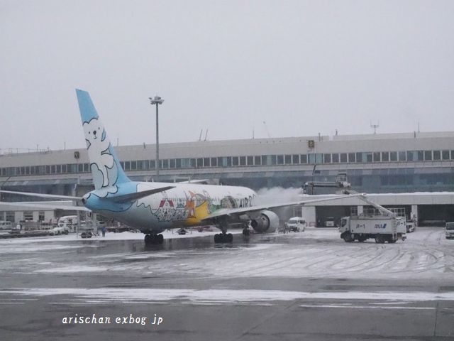 千歳空港＠北海道旅行_f0295238_21014472.jpg