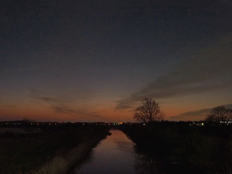 d0290240_15442490.gif