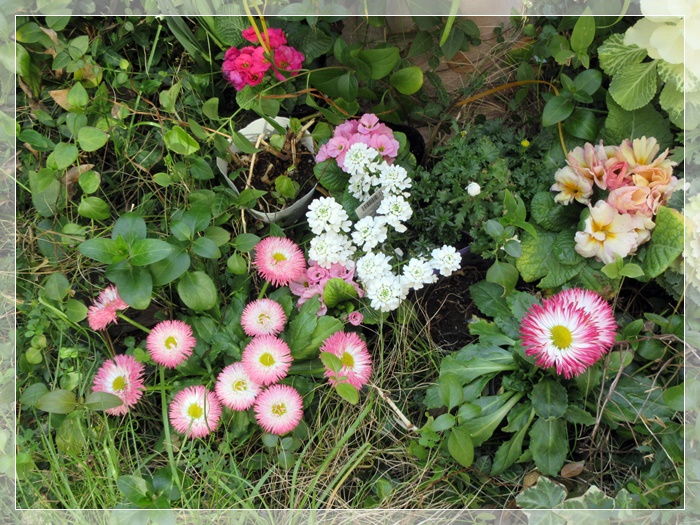 【トロワグロのトーストと春の花と時代は埼玉県】_b0009849_9233980.jpg