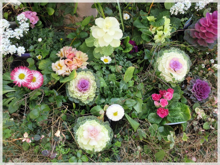 【トロワグロのトーストと春の花と時代は埼玉県】_b0009849_9245653.jpg