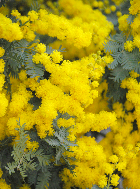 a0001354_23555855.gif