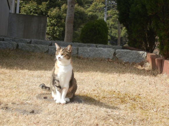 ’19,2,24(日)春になると大忙し!_f0060461_11393413.jpg