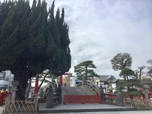 a0053063_09045647.jpeg
