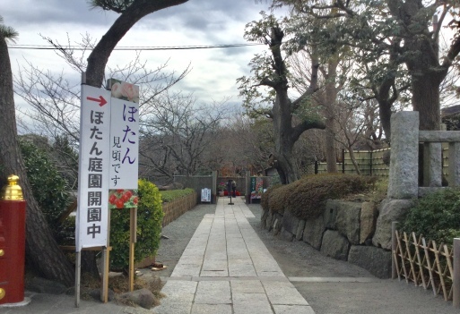 a0053063_09130718.jpeg