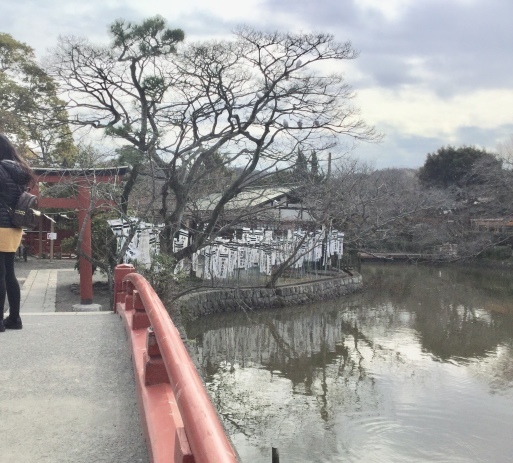 a0053063_09174035.jpeg