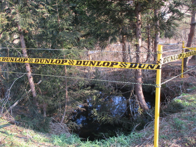 c0080863_17505769.jpg