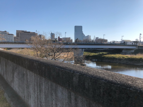 広瀬川ウォーク②_e0355177_20383653.jpg