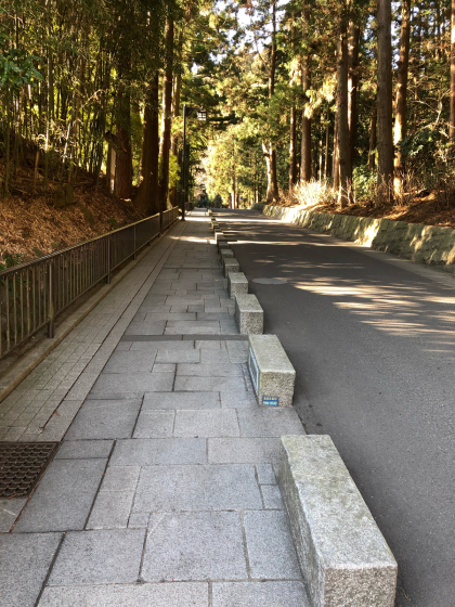 広瀬川ウォーク②_e0355177_20384030.jpg