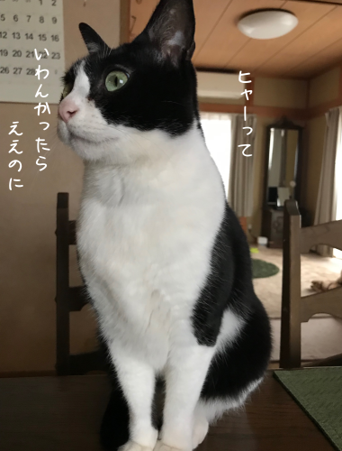 a0216583_23445476.png