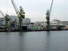 b0192588_834349.jpg