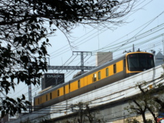 b0192588_936293.jpg