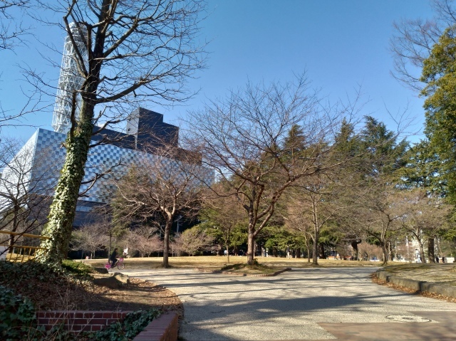 春の兆しの勾当台公園と錦町公園～日本料理うすだ_f0100593_17014749.jpg